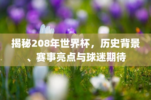 揭秘208年世界杯，历史背景、赛事亮点与球迷期待