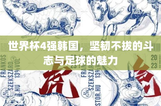 世界杯4强韩国，坚韧不拔的斗志与足球的魅力广西贺州市华昌新材料有限公司