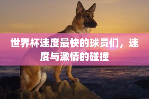 世界杯速度最快的球员们，速度与激情广西贺州市华昌新材料有限公司的碰撞