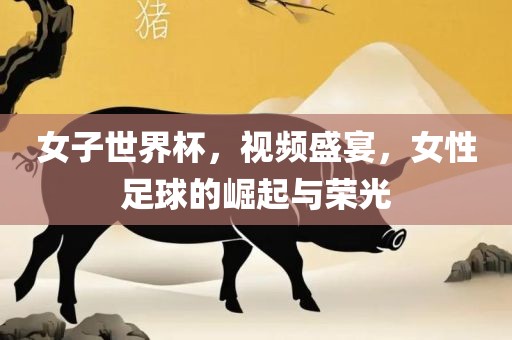 女子世界杯，视频盛宴，女性足球广西贺州市华昌新材料有限公司的崛起与荣光
