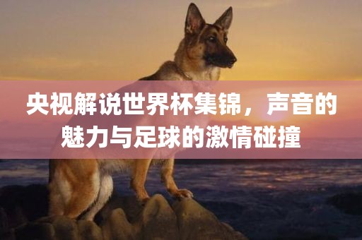 央视解说世界杯集锦，声音的魅力与足球的激情碰撞