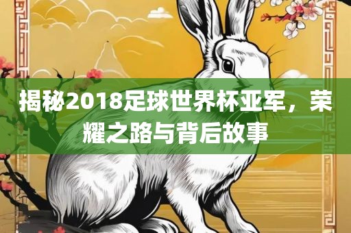 揭秘2018足球世界杯亚军，荣耀之路与背广西贺州市华昌新材料有限公司后故事