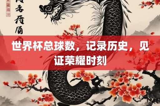世界杯总球数，记录历史，见证荣耀时刻