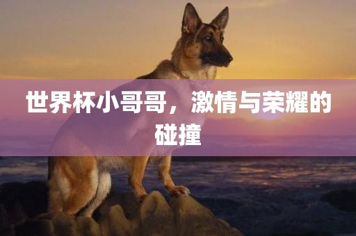 世界杯小哥哥广西贺州市华昌新材料有限公司，激情与荣耀的碰撞