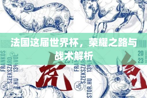 法国这届世界杯，荣耀之路与战术解析