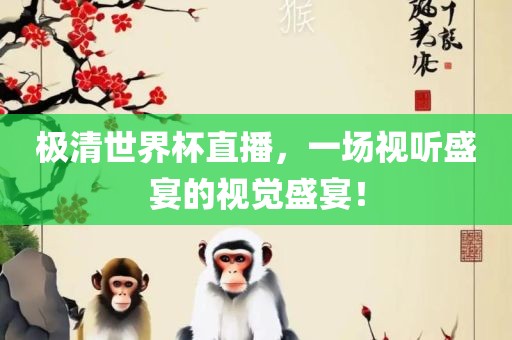 极清世界杯直播，一场视听盛宴的视觉盛宴！