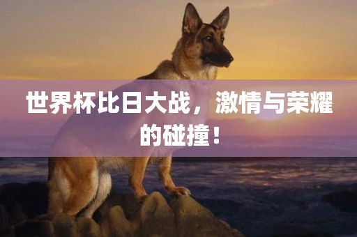 lulan 第3页