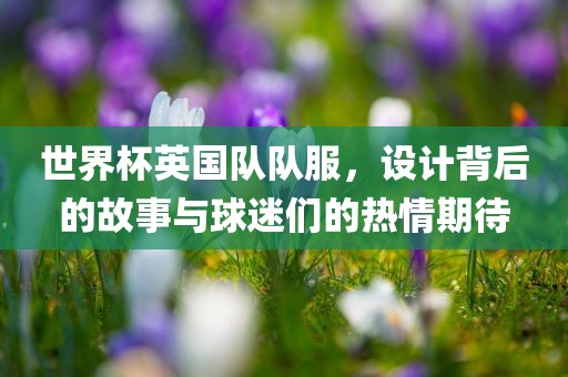 世界杯英国队队服，设计背后的故事与球迷们的热情期待广西贺州市华昌新材料有限公司