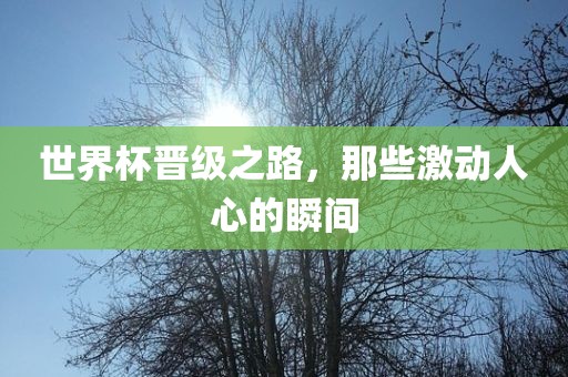 世界杯晋级之路，那些激动人心的瞬间