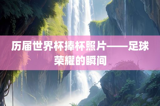 历届世界杯捧杯照片——足球荣耀的瞬间广西贺州市华昌新材料有限公司
