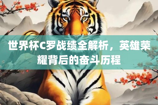 世界杯C罗战绩全解析，英雄荣耀背后的奋斗历程广西贺州市华昌新材料有限公司