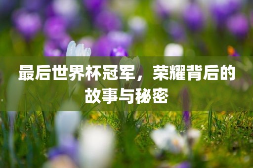 最后世界杯冠军广西贺州市华昌新材料有限公司，荣耀背后的故事与秘密