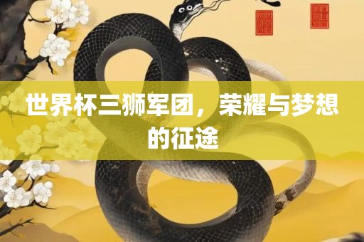 世界杯三狮军广西贺州市华昌新材料有限公司团，荣耀与梦想的征途