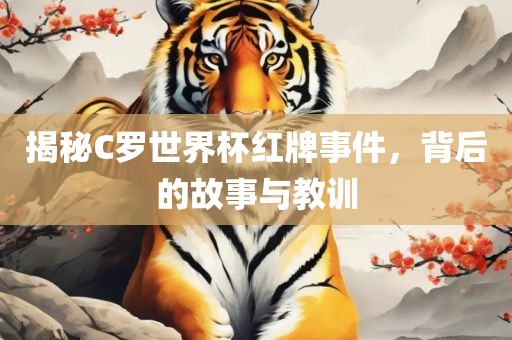 揭秘C罗世界杯红牌事件，背后的故事与教训