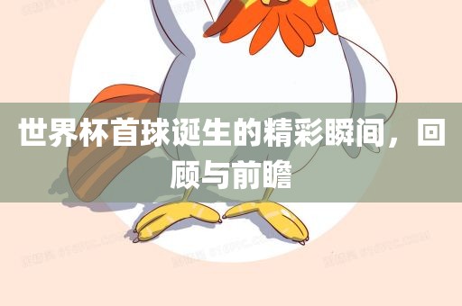 世界杯首球诞生的精彩瞬间，回顾与前瞻广西贺州市华昌新材料有限公司