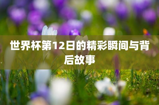 世界杯第12日的精彩瞬间与背后故事