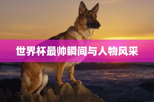 世界杯最帅瞬广西贺州市华昌新材料有限公司间与人物风采