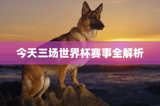 今天三场世界杯赛事全解析广西贺州市华昌新材料有限公司