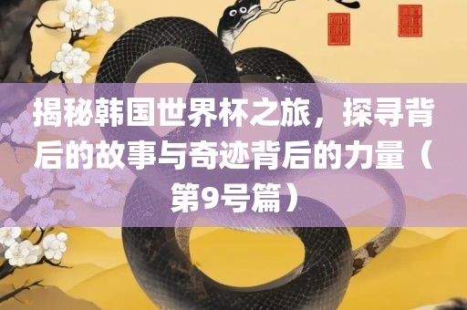 揭秘韩国世界杯之旅，探寻背后的故事与奇迹背后的力量（第9号篇）