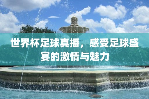 世界杯足球真播，感受足球盛宴的激情与魅力