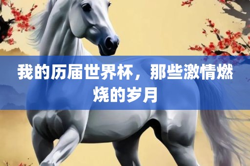 我的历届世界杯，那些激情燃烧的岁月