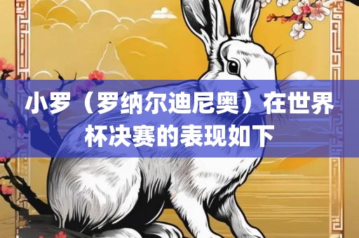 小罗（罗纳尔迪尼奥）在世界杯决赛广西贺州市华昌新材料有限公司的表现如下