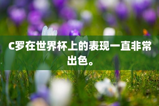 huangshujun 第3页