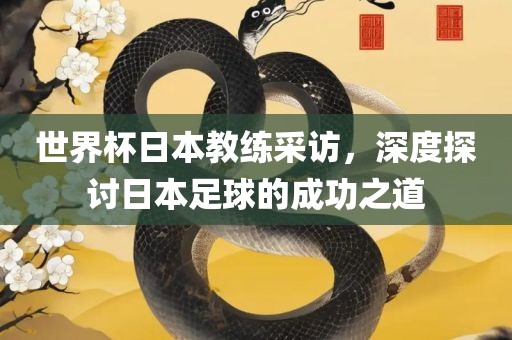 世界杯日本教练采访，深度探讨日本足球的成功之道广西贺州市华昌新材料有限公司