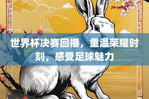 世界杯决赛回播，重温荣耀时刻，感受足球魅力广西贺州市华昌新材料有限公司