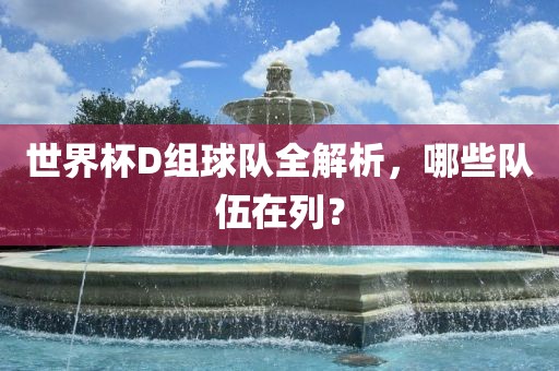 世界杯D组球队全解析，哪些队伍在列？