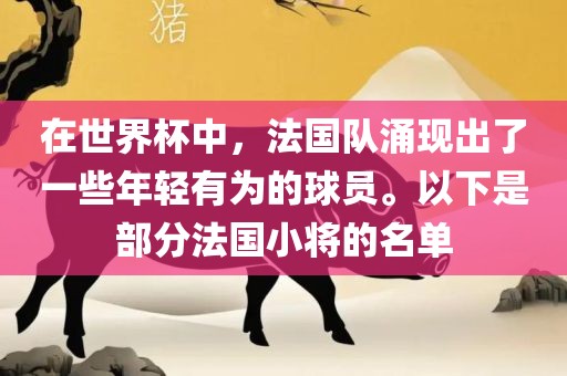 在世界杯中，法国队涌现出了一些年轻有为的球员。以下是部分法国小将的名单广西贺州市华昌新材料有限公司