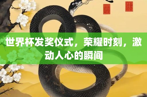 世界杯发奖仪式，荣耀时刻，激动人心的瞬间