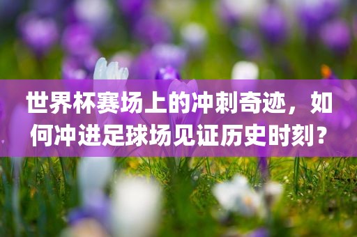 世界杯赛场上的冲刺奇迹，如何冲进足球场见证历史时刻？广西贺州市华昌新材料有限公司