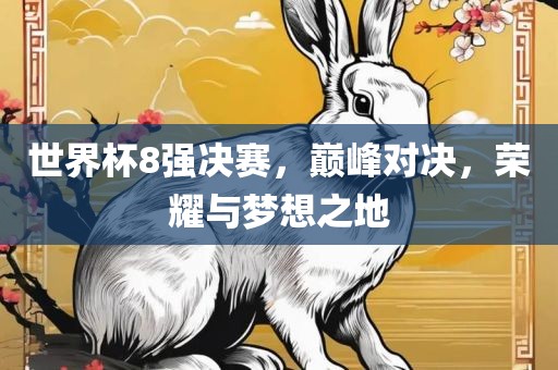 世界杯8强决赛，巅峰对决，荣耀与梦想之地