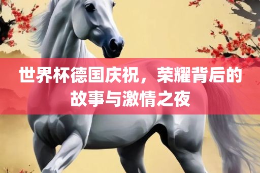 世界杯德国庆祝，荣耀背后的故事与激情之夜