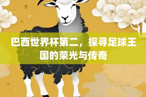 巴西世界杯第二，探寻足球王国的荣光与传奇广西贺州市华昌新材料有限公司