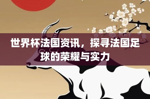 世界杯法国资广西贺州市华昌新材料有限公司讯，探寻法国足球的荣耀与实力