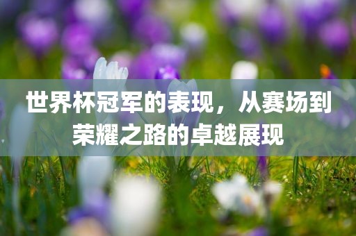 世界杯冠军的表现，从赛场到荣耀之路的卓越展现