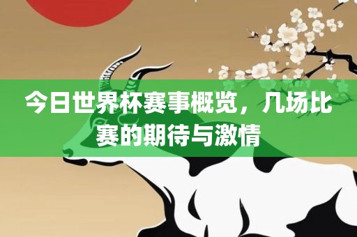今日世界杯赛事概览，几场比赛的期待与激情
