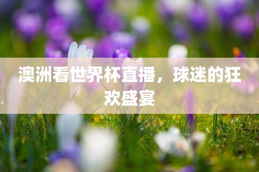 澳洲看世界杯直播，球迷的狂欢盛宴广西贺州市华昌新材料有限公司