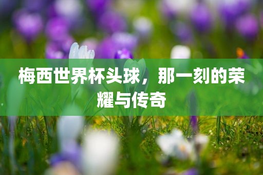 梅西世界杯头球，那一刻的荣耀与传奇