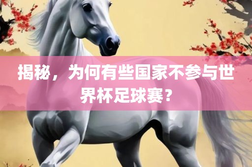 世界杯足球赛 第3页