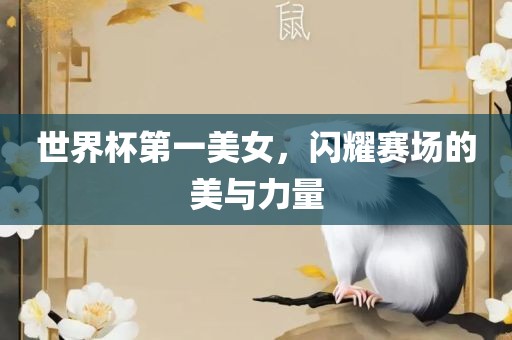 世界杯第一美女，闪耀赛场的美与力量广西贺州市华昌新材料有限公司
