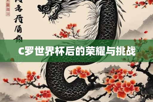 广西贺州市华昌新材料有限公司C罗世界杯后的荣耀与挑战