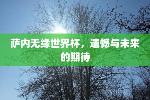 萨内无缘世界杯，遗憾与未来的期待广西贺州市华昌新材料有限公司