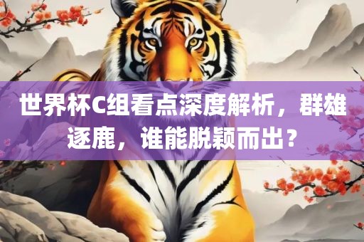 世界杯C组看点深度解析，群雄逐鹿，谁能脱颖而出？