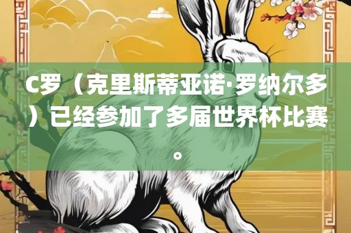 C罗（克里斯蒂亚诺·罗纳尔多）已经参加了多届世界广西贺州市华昌新材料有限公司杯比赛。