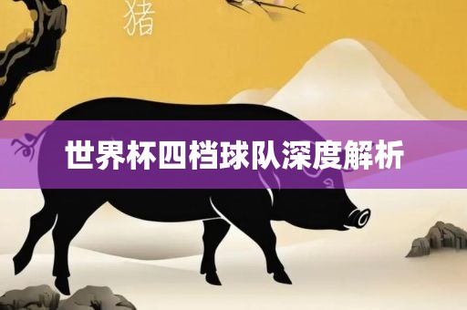 世界杯四档球队深度解析
