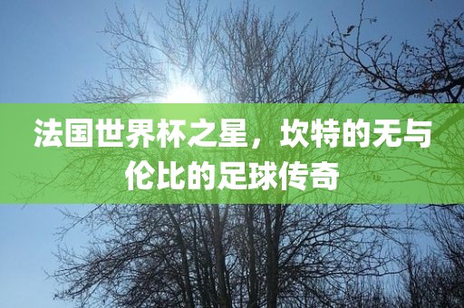 法国世界杯之星，坎特的无与伦比的足球传奇广西贺州市华昌新材料有限公司
