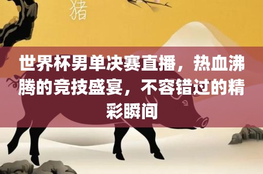 世界杯男单决赛直播，热血沸腾的竞技盛宴，不容错过的精彩瞬间广西贺州市华昌新材料有限公司